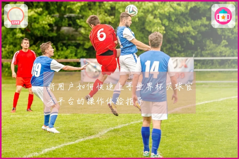 新用户如何快速上手世界杯买球官方平台的操作体验指导