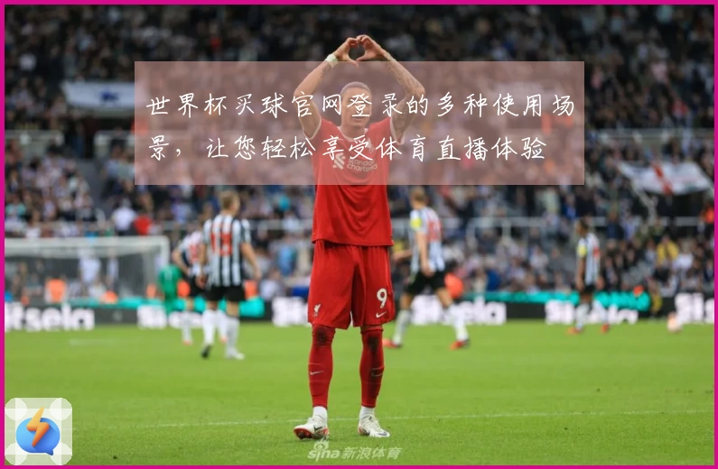 世界杯买球官网登录的多种使用场景,让您轻松享受体育直播体验