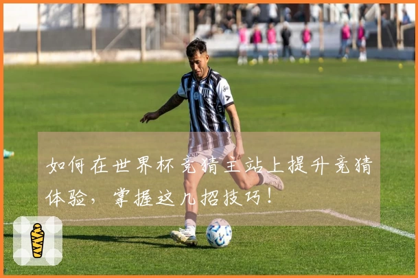 如何在世界杯竞猜主站上提升竞猜体验，掌握这几招技巧！
