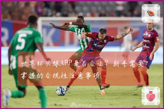 世界杯买球APP是否合法？新手需要掌握的合规性注意事项