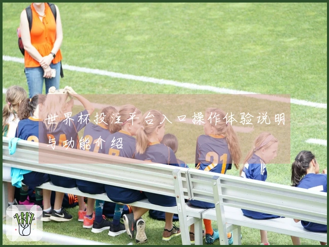 世界杯投注平台入口操作体验说明与功能介绍