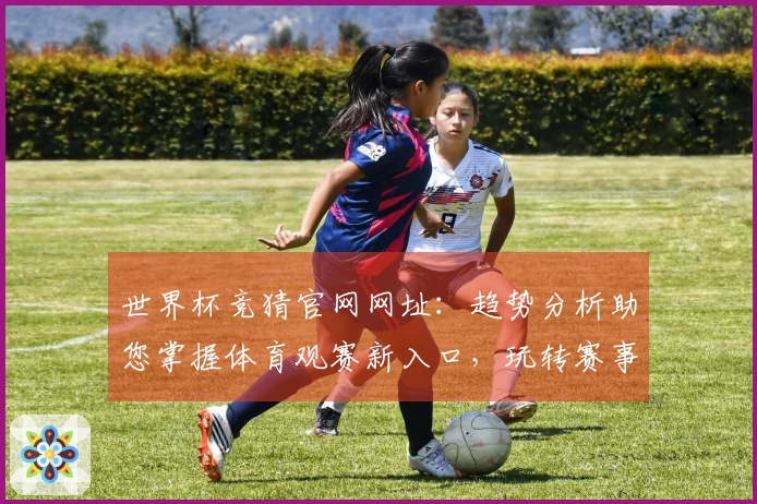 世界杯竞猜官网网址：趋势分析助您掌握体育观赛新入口，玩转赛事精彩。