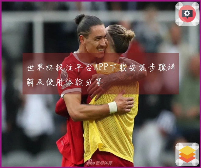 世界杯投注平台APP下载安装步骤详解及使用体验分享