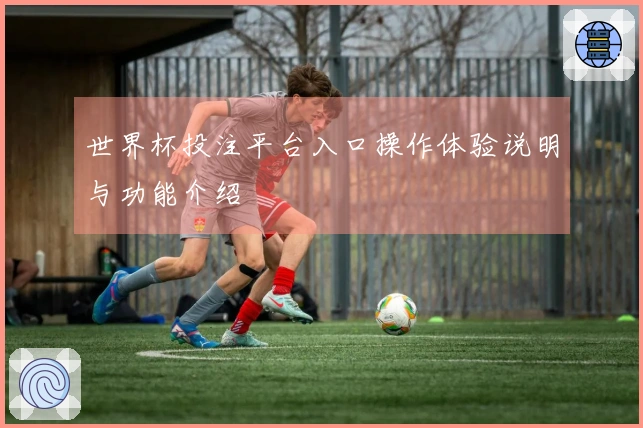 世界杯投注平台入口操作体验说明与功能介绍